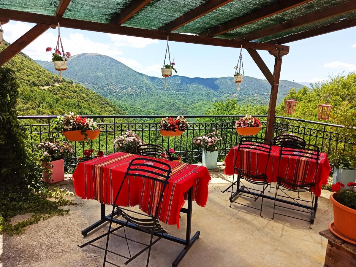 Foris House Hotel Vikos Exterior photo