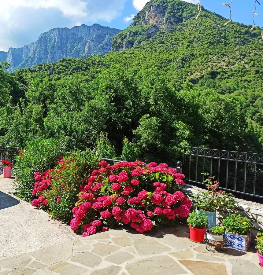 Foris House Hotel Vikos Exterior photo