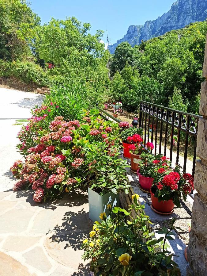 Foris House Hotel Vikos Exterior photo